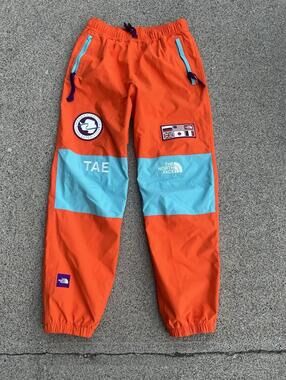 North Face Trans Antarctica Expedition Pant Orange Mens Small TAE Snow Rare